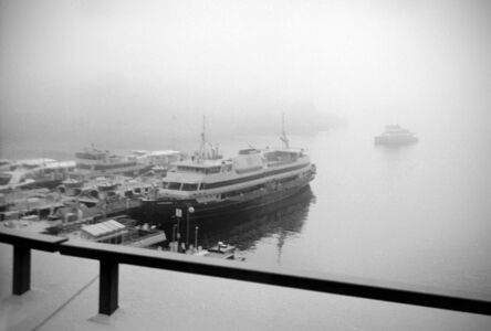 Kerry Thomas - 'Foggy Morning, Mort Bay'