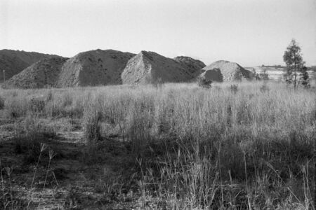 Waste Dirt, Warkworth, 2001